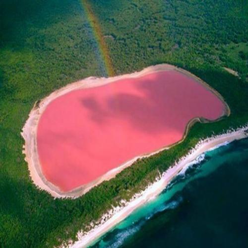 O maravilhoso lago cor de rosa da Austrália