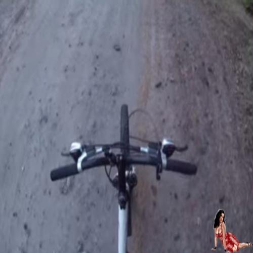 Fazer trilha de bike na floresta pode não ser muito seguro