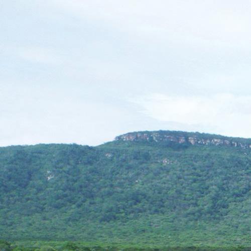 Serra das Almas e o Bioma Caatinga: O Único no Mundo.