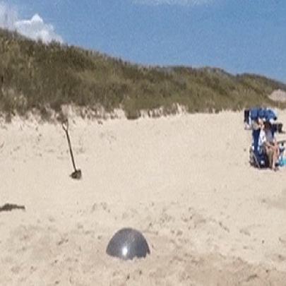 Caiu de cara na areia