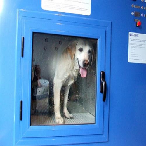 Pet Shop no Japão Inventa Máquina de Lavar Cachorros