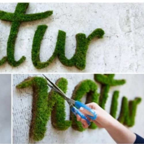 Grafite de musgo, faça uma eco-arte em sua parede