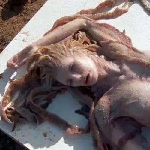 Vídeo incrível suposta aparição real de sereia morta na praia