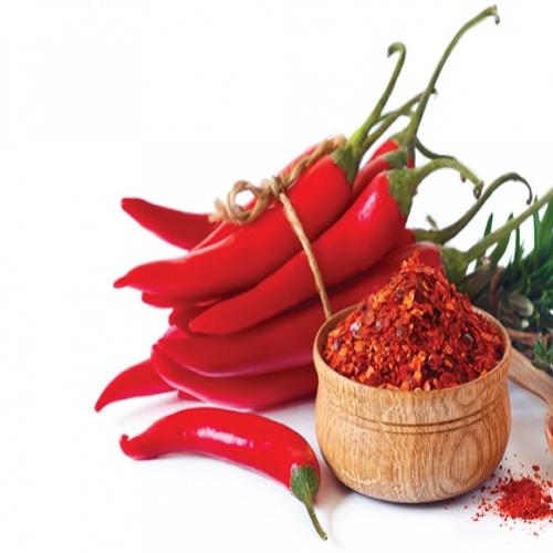 Benefícios das pimentas para a saúde