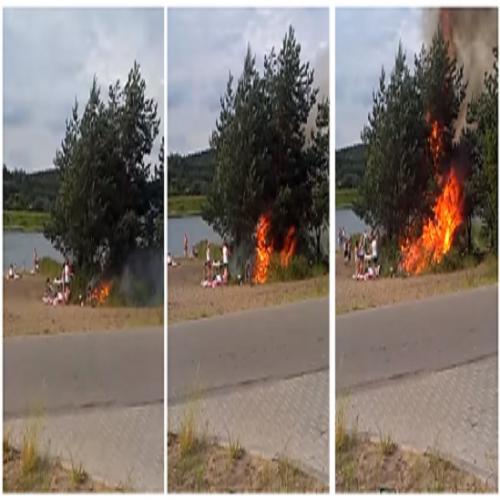 Veja a velocidade que o fogo se alastra mesmo na grama verde