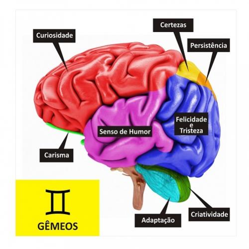 O Cérebro de Cada Signo! Como é o Seu?