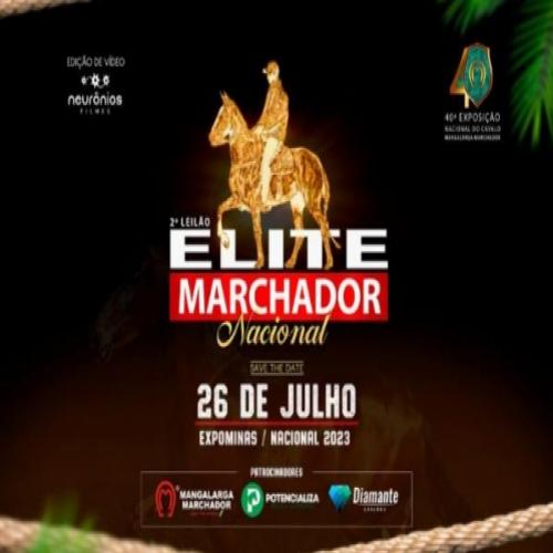 Exposição Nacional do Cavalo Mangalarga Marchador reúne, além das prov