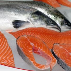 Comer peixe aumenta expectativa de vida