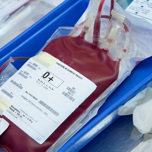 Grávida morre por ter recusado transfusão de sangue por ser testemunha