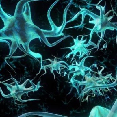 Foi mapeada a rede neural de ratos com mais de 75 milhões de neurônios