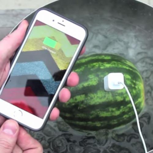 Aprenda a carregar a bateria do celular com uma melancia!