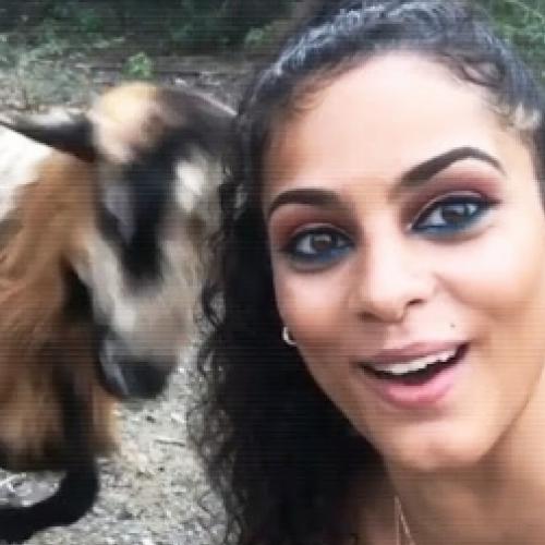 Veja os melhores carmas instantâneos nesse vídeo