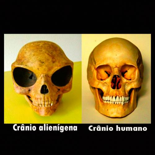 Crânio de alienígena encontrado