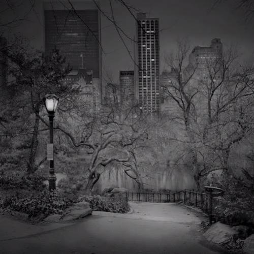 Fotógrafo com insônia faz fotos sombrias do Central Park