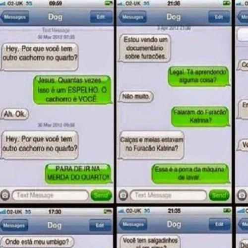  O que diria seu cachorro se pudesse trocar mensagens com você