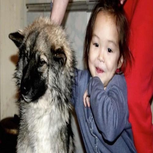Menina de 3 anos sobreviveu 11 dias perdida em um bosque na Sibéria