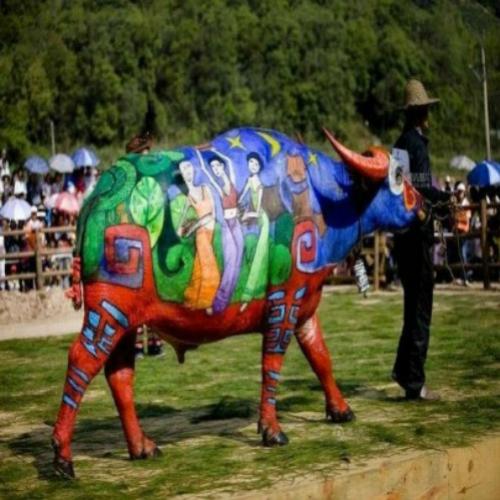 Buffalo Bodypainting Festival Internacional Da China