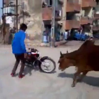  Roda moto pra aparecer e boi bota pra correr 