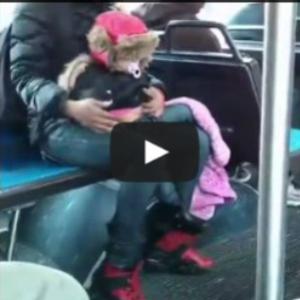 Mãe do ano – mulher joga seu bebê para brigar dentro do ônibus