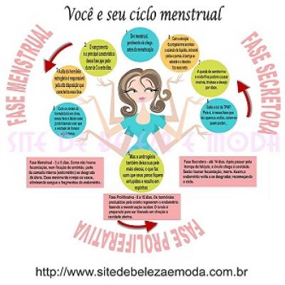 Infográfico para entender as três fases do ciclo menstrual