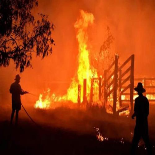 Os aterradores incêndios na Austrália podem mudar o clima em todo o mu