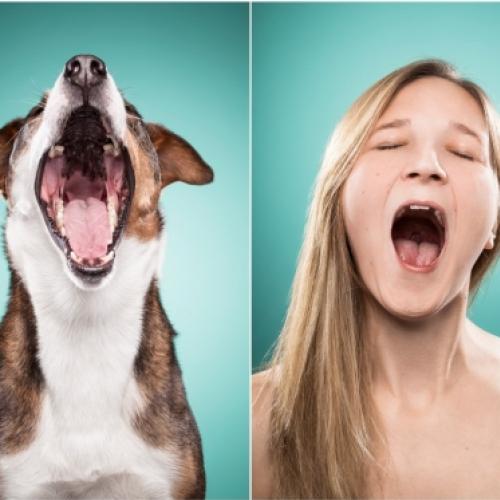 Fotos divertidas de donos imitando seus cães: cara dum, focinho doutro