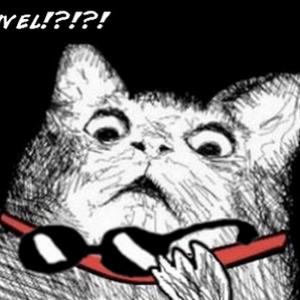 Ele existe - Gato Assustado