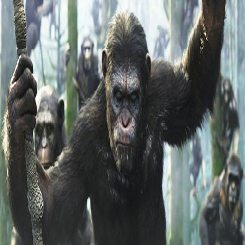 Chimpanzés vão ao cinema assistir Planeta dos Macacos 