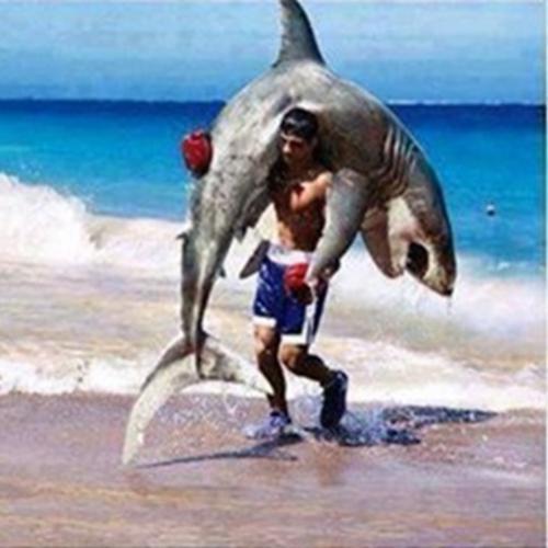 Catando um tubarão na unha para ganhar o prêmio