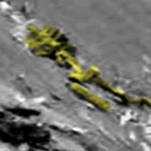 Esqueleto de 3 metros de altura encontrado em Marte