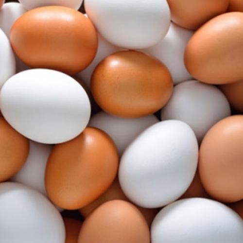 Ovos fazem mal a saúde?