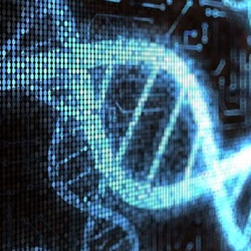 Quanto espaço digital ocupa a informação genética do corpo?