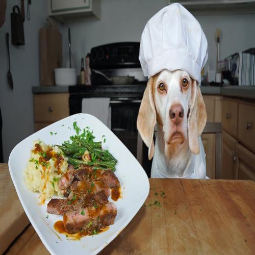 Há algum animal que prepara ou cozinha seus alimentos?