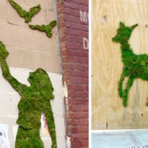 Sabia que é possivel fazer grafite com musgo?
