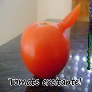 A maldade está na cabeça das pessoas: É só um tomate!