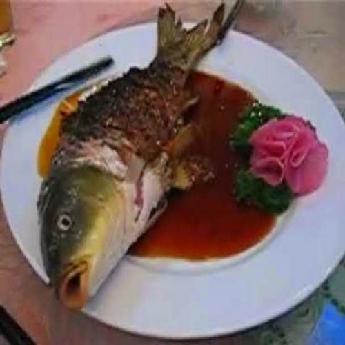 5 pratos aterrorizantes feitos com peixe (com video)