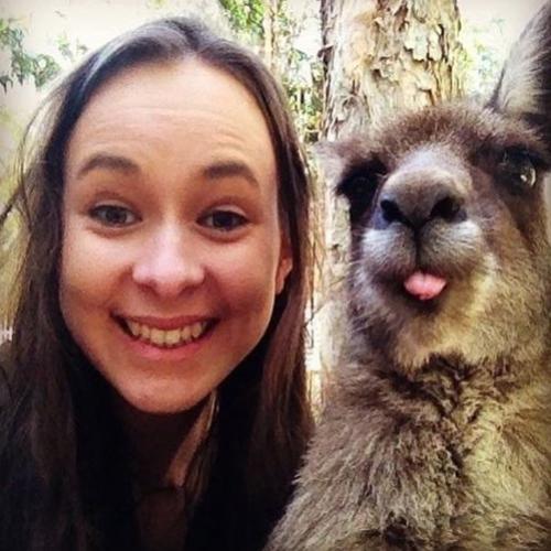 20 Animais que gostam de aparecer em selfies com pessoas
