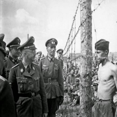 Heinrich Himmler: O arquiteto do Holocausto